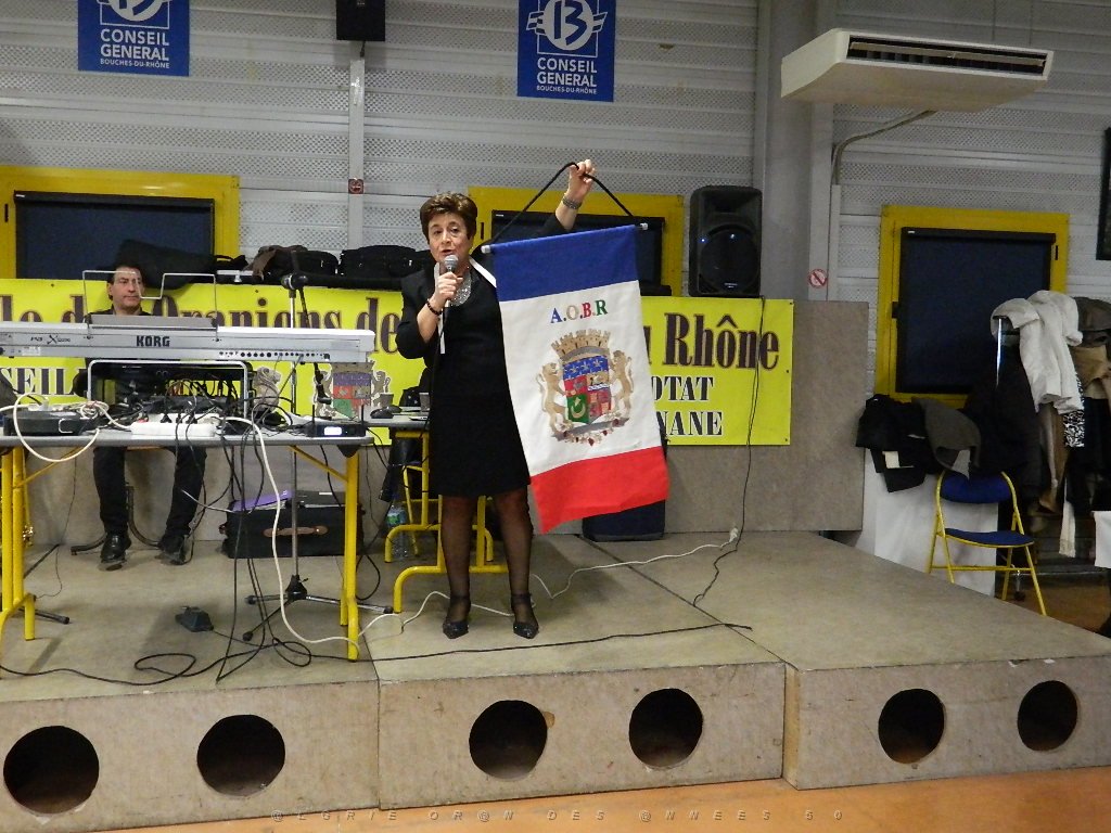 AOBR 2016 01 17 MARSEILLE GATEAU DES ROIS ET LES VOEUX  (21).JPG -                                
